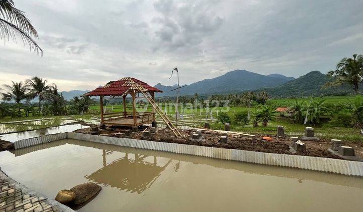 Kavling Sawah Bogor SHM Sistem bagi hasil 2