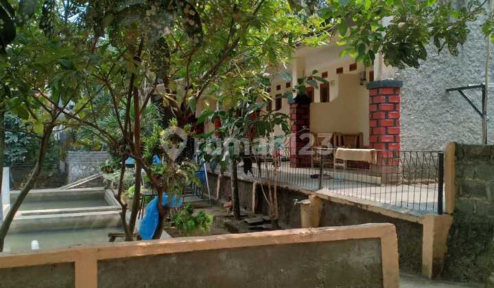 Dijual Rumah Dan Kontrakan Petakan 5 Pintu Di Caringin Bogor, Daerah Sejuk 2