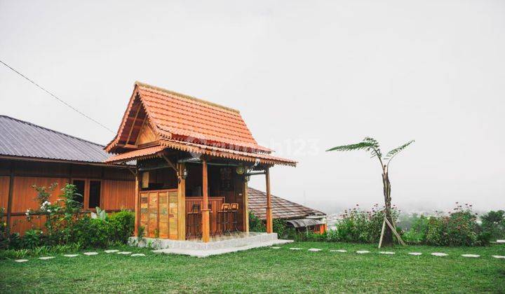 Joglo Style Villa in Pancasari Bedugul View Sawah 1