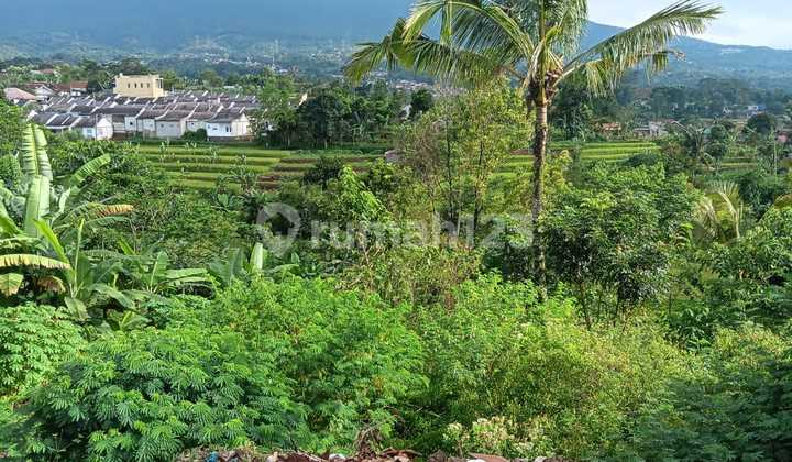 Di Jual Tanah Kavling Daerah Banjaran Kabupaten Bandung