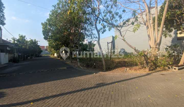 Tanah Kavling Hook Pantai Mentari Surabaya Timur Siap Bangun Tanah Kavling Hook Pantai Mentari Surabaya Timur Siap Bangun