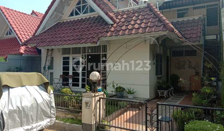 Rumah 1 Lantai International Village Citraland Utama Siap Huni Rumah 1 Lantai International Village Citraland Utama Siap Huni