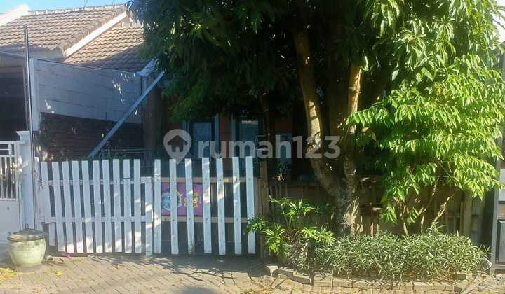 Dijual RUMAH MURAH, HARGA Terjangkau,  Perum Bukit Citra Mas Blok D, Kec. Driyorejo, Kab. Gresik, Jawa Timur 1