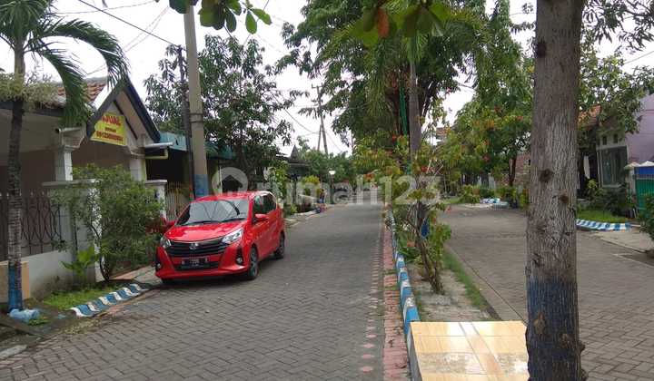 Rumah Murah di Tanggulangin Asri Kalitengah - Sidoarjo 2