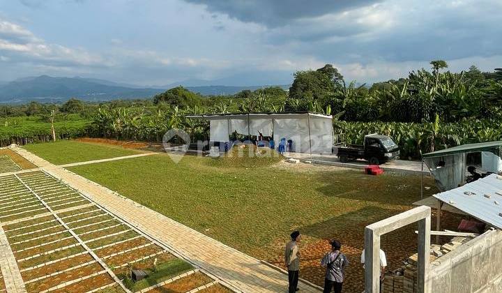 Tanah Makam Kota Bogor Lokasi Strategis Harga Promo Tanah Makam Kota Bogor Lokasi Strategis Harga Promo