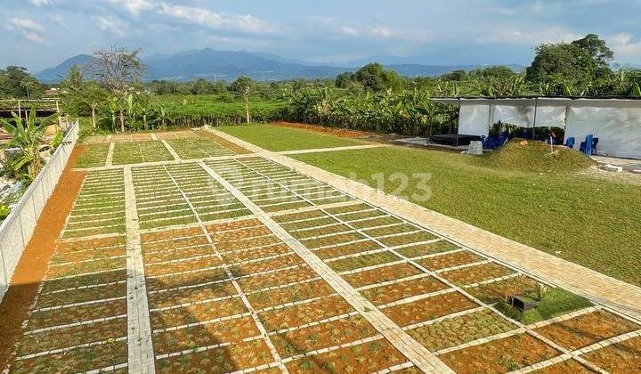 Tanah Makam Kota Bogor Lokasi Strategis Harga Promo Tanah Makam Kota Bogor Lokasi Strategis Harga Promo