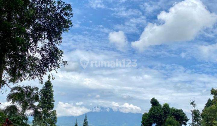 Villa Tenang dan Asri di Gunung Geulis, Megamendung Bogor 2