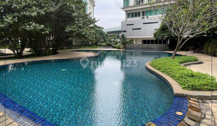 kolam renang apartemen harga murah di jaksel