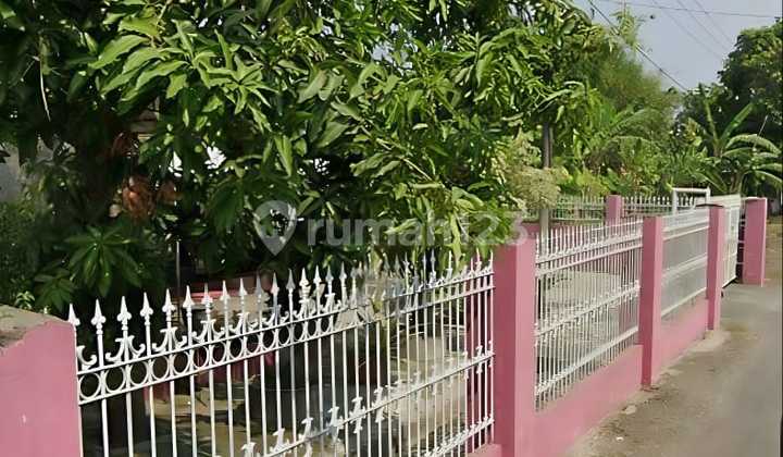 House for Business in Wonomlati, Krembung, Sidoarjo House for Business in Wonomlati, Krembung, Sidoarjo