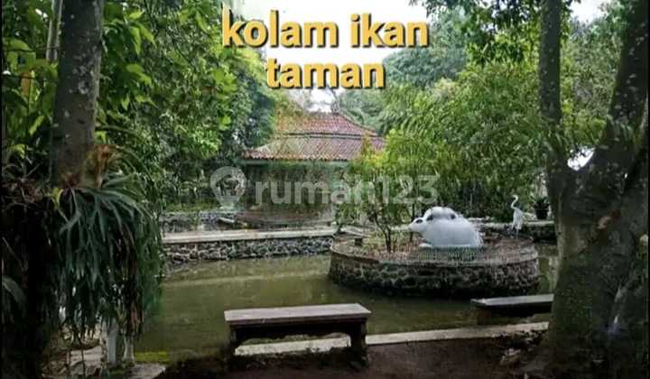 Gudang Ruko Merangkap Rumah Tinggal Ada Kolam Renang