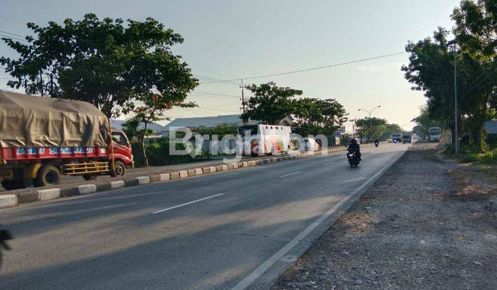 TANAH UNTUK RUKO, GUDANG, PABRIK, DI RAYA GRESIK BABAT LAMONGAN 2