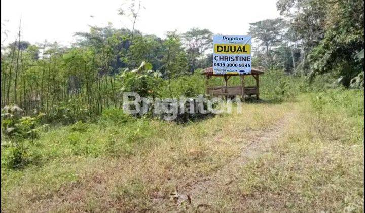 TANAH DI KECANDRAN SIDOMUKTI SALATIGA DEKAT UKSW DAN UIN 1