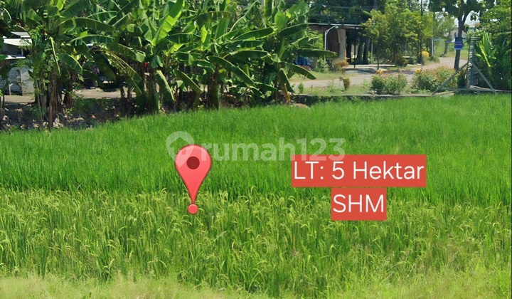 Tanah Sawah Lokasi Dekat Damarsi Residence Tanah Sawah Lokasi Dekat Damarsi Residence