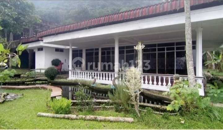 Villa Murah Ada Rumah Walet Di Trawas Mojokerto