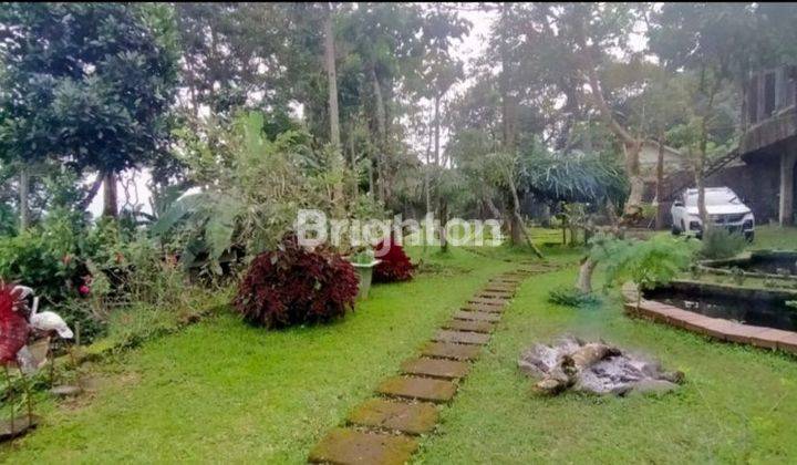 VILLA DAN RUMAH WALET DI JL RECO LANANG TRAWAS MOJOKERTO 2