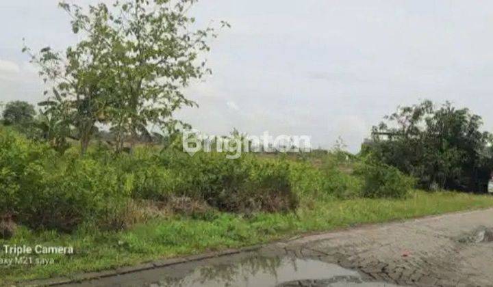 TANAH INDUSTRI DAN GUDANG DI DAERAH BENJENG GRESIK 2