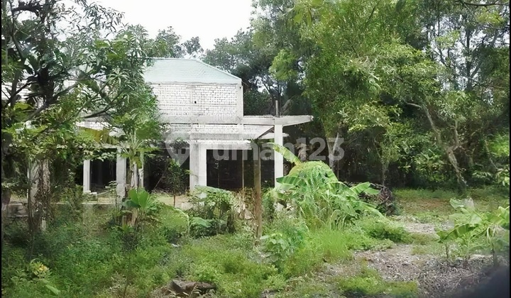 Sport Field Land 0 Raya Domas Sport Field Land 0 Raya Domas