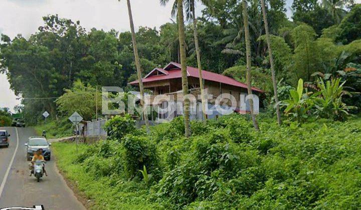 Tanah Siap Bangun 0 Jalan Raya Di Bunaken Manado 2