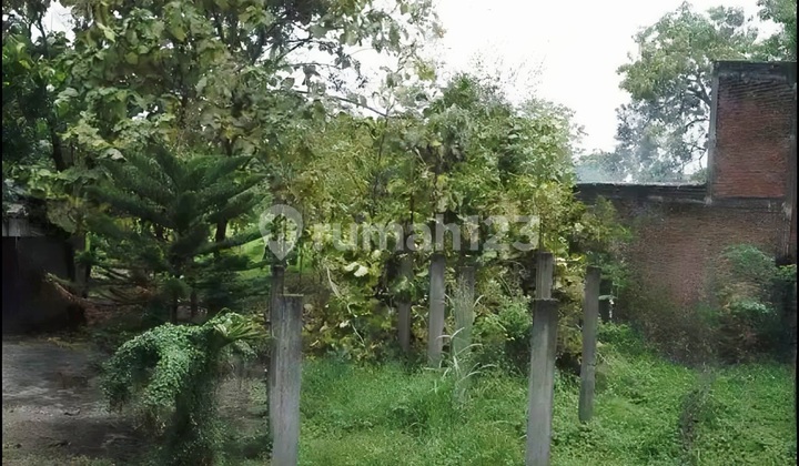 Sport Field Land 0 Raya Domas Sport Field Land 0 Raya Domas