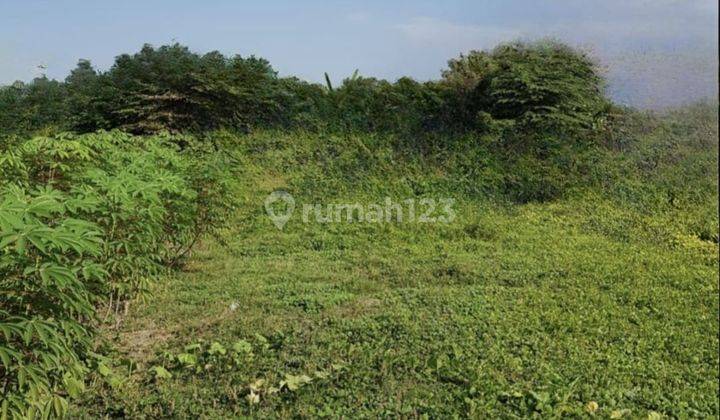 Tanah Siap Bangun Di Sumbersari Jabon Sidoarjo 2