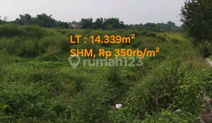 Cheap 1.5 Hectare Land in Sukorejo, Pasuruan