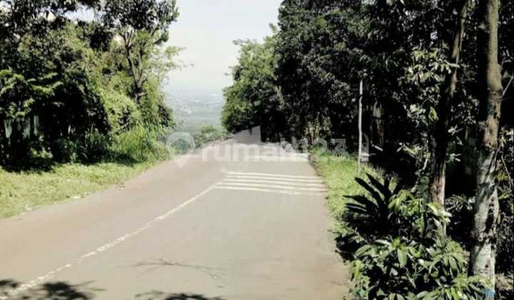 For Rent: Land in Ngempal, Tutur, Pandaan, Pasuruan