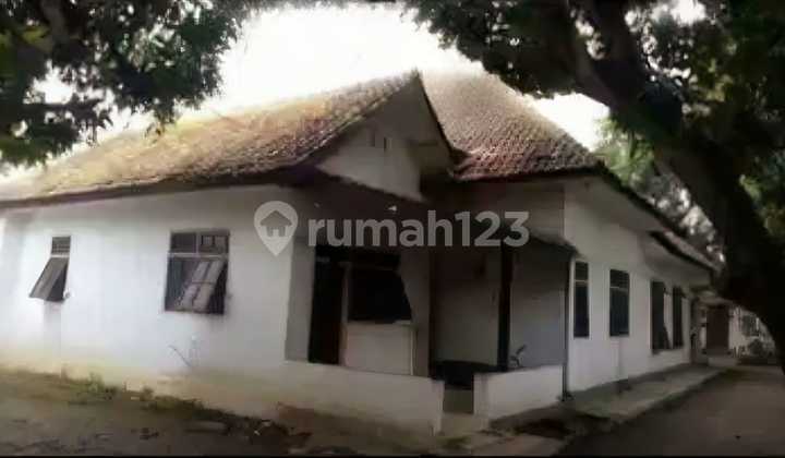 Commercial Building Shop Row House Warehouse 0 Main Road Commercial Building Shop Row House Warehouse 0 Main Road