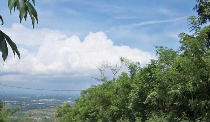 For Rent: Land in Ngempal, Tutur, Pandaan, Pasuruan