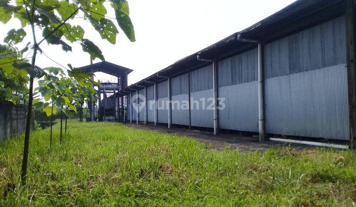 Tanah/Pabrik siap pakai SHM=ijin industry plywood(48.000M3/thn) CL186 2