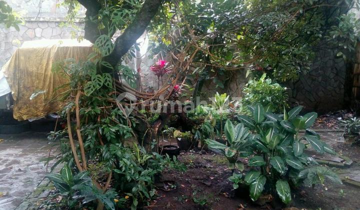 Rumah Jaman Belanda Antik dan kuat, SHM di Cipaganti Bandung CL 373 2
