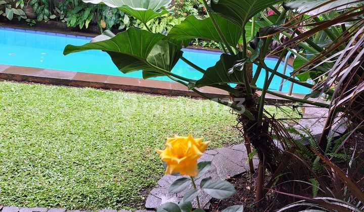 Rumah Mewah 2lt Swimming Pool SHM Lebak Bulus Jak Sel Cl 077  2