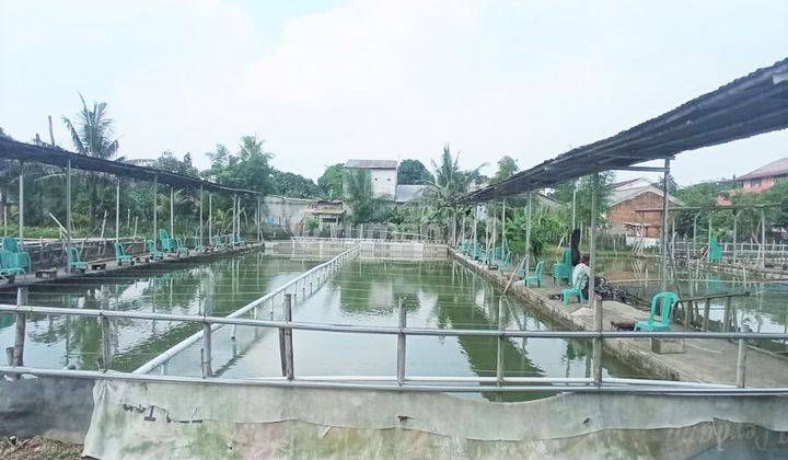 Tanah Luas Ada Bangunan Kolam Pemancingan SHM Pondok Cabe Cl 281 2