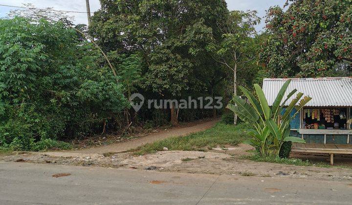 DIJUAL LAHAN 2 HA DI CISAUK LOKASI SANGAT STRATEGIS 2