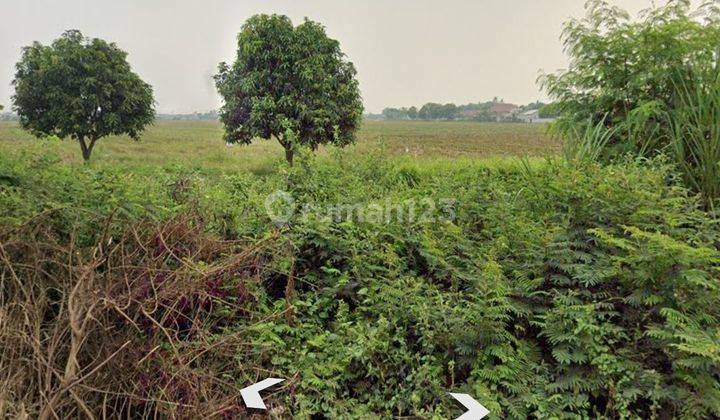 2 LAHAN SHM DI BEKASI 1.2 HA DAN 1.6 HA 1