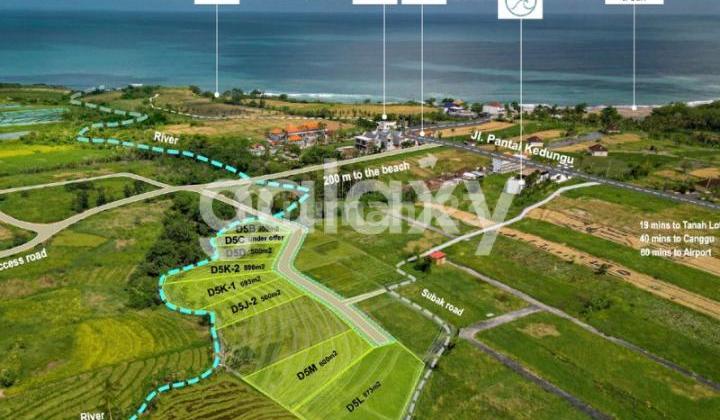 Land Near the Beach in Kedungu Kediri Tabanan, Bali