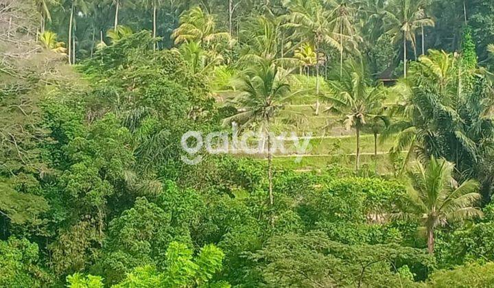 TANAH BANJAR CEBOK KEDISAN TEGALLALANG GIANYAR, BALI 2