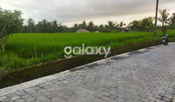 TANAH BANJAR NAGI PETULU TEGALLALANG GIANYAR, BALI 2