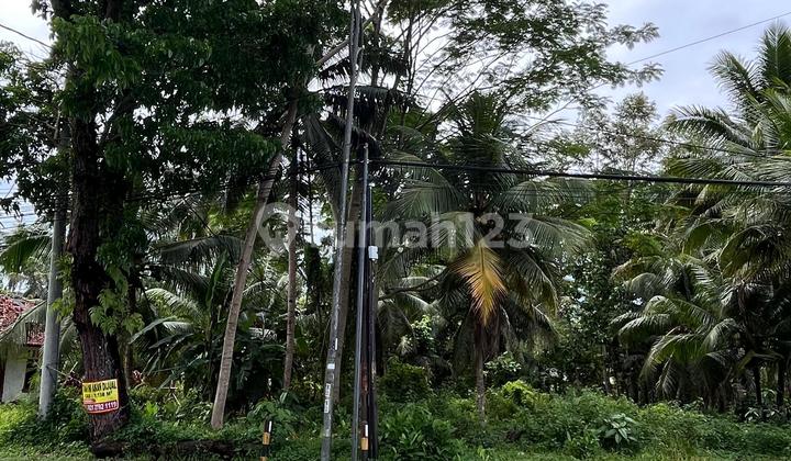 Tanah Luas Pangandaran Tanah Luas Pangandaran