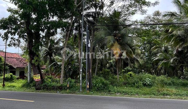 Tanah Luas Pangandaran Tanah Luas Pangandaran