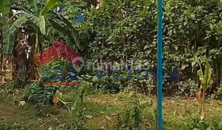 Tanah SHM di Kandangan Pare Tanah SHM di Kandangan Pare