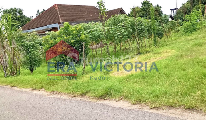 Tanah Kavling SHM Area Besuk Ngasem Kediri Pekarangan Datar