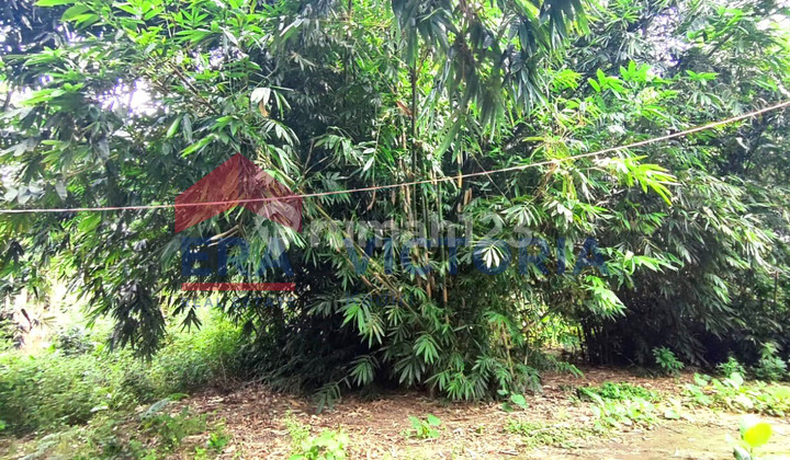 Tanah di Tugurejo Ngasem Kab Kediri 3 Menit Dari Puskesmas Tanah di Tugurejo Ngasem Kab Kediri 3 Menit Dari Puskesmas