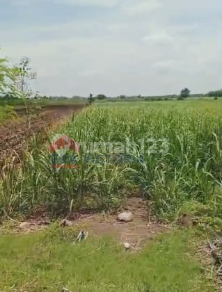 Land 5429 m2 SHM Mojoroto, Kediri