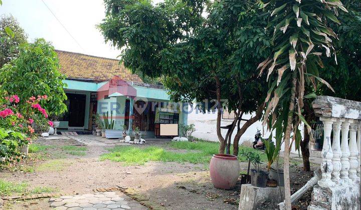 Dijual Rumah terletak Di Kelurahan Pelem, Kertosno, Akses Truck Bisa Masuk, Halaman Sangat Luas, Cocok untuk tempat Tinggal Nganjuk 2
