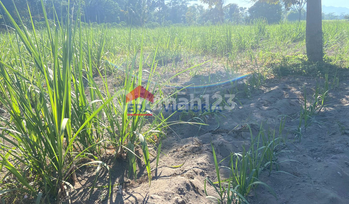 Jual Tanah 14440 M2 SHM Ngancar, Kediri Akses Jalan Aspal