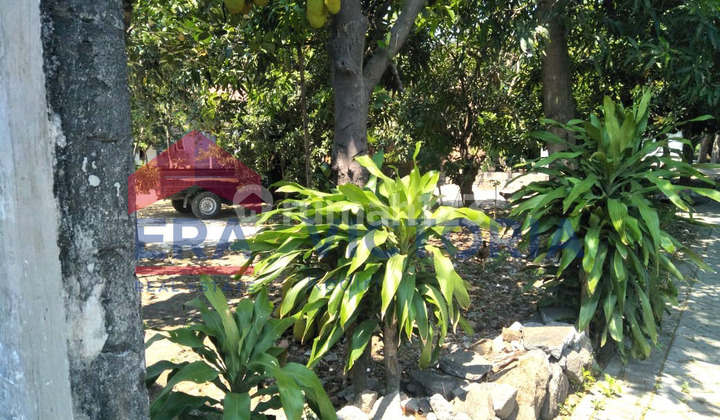 Land 504 m2 SHM on Sukomoro Main Road, Nganjuk