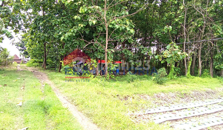 Tanah 5334 M2 di Ds Karangdagangan Jombang