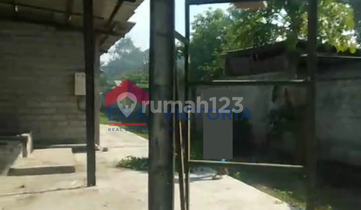 Gudang Kokoh Disewakan Di Ngadiluwih Kediri