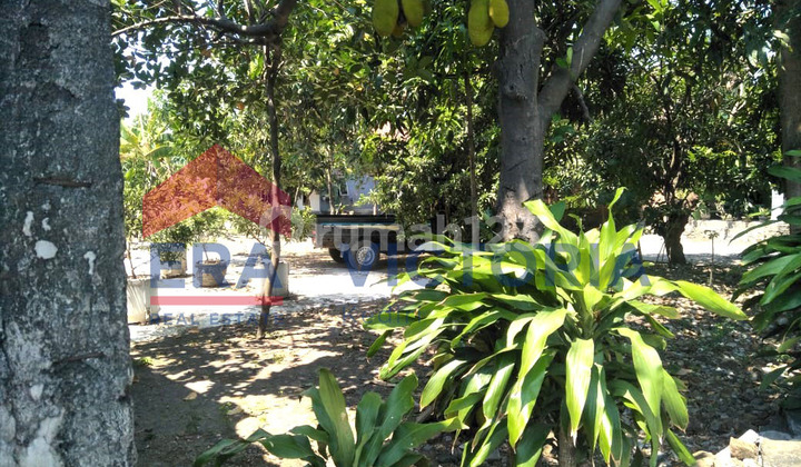 Land 504 m2 SHM on Sukomoro Main Road, Nganjuk