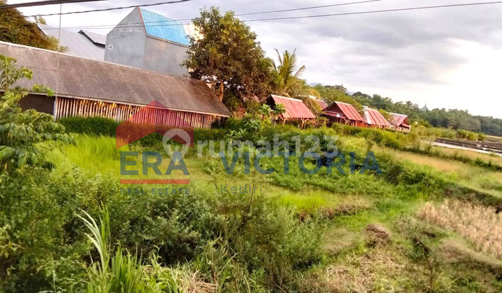 Tanah di Kepung Jalan Provinsi SHM